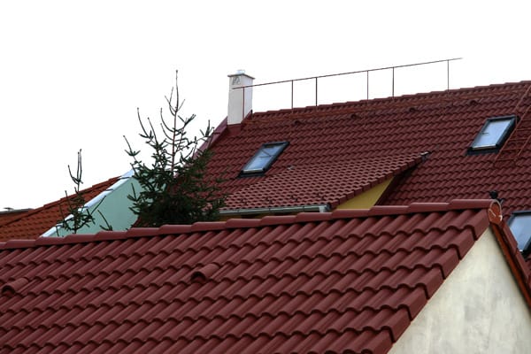 WhatsApp Image 2026-02-24 at 11.31.03 (1)