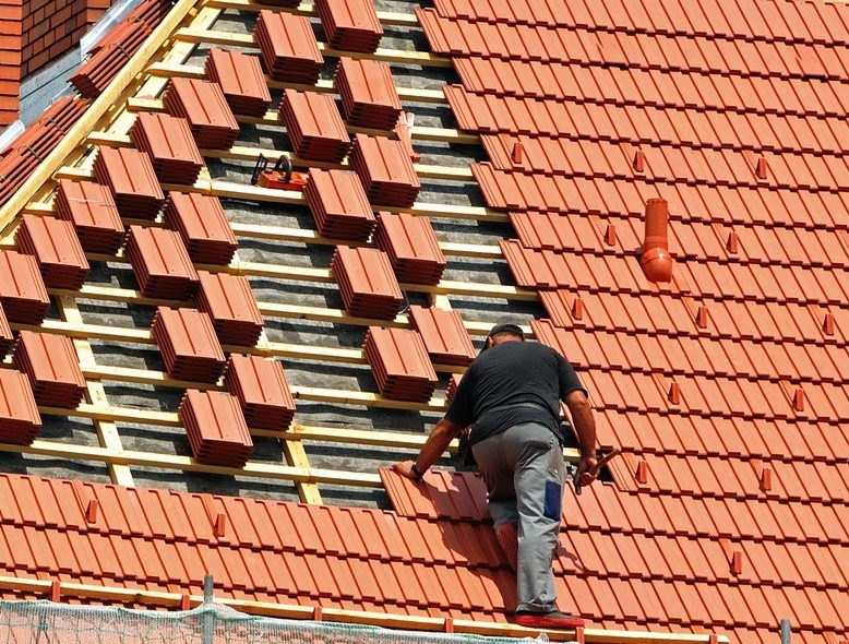 WhatsApp Image 2026-02-24 at 11.31.03